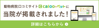 動物病院Calooペットに当院が掲載されました！