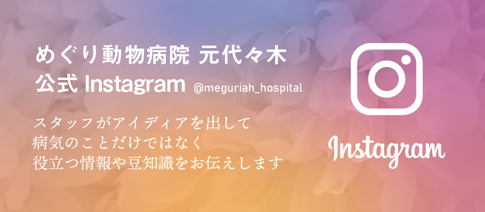めぐり動物病院 元代々木
公式Instagram
スタッフがアイディアを出して病気のことだけではなく役立つ情報や豆知識をお伝えします