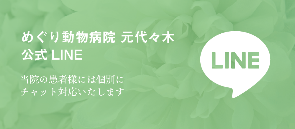 めぐり動物病院 元代々木
公式LINE
当院の患者様には個別にチャット対応いたします