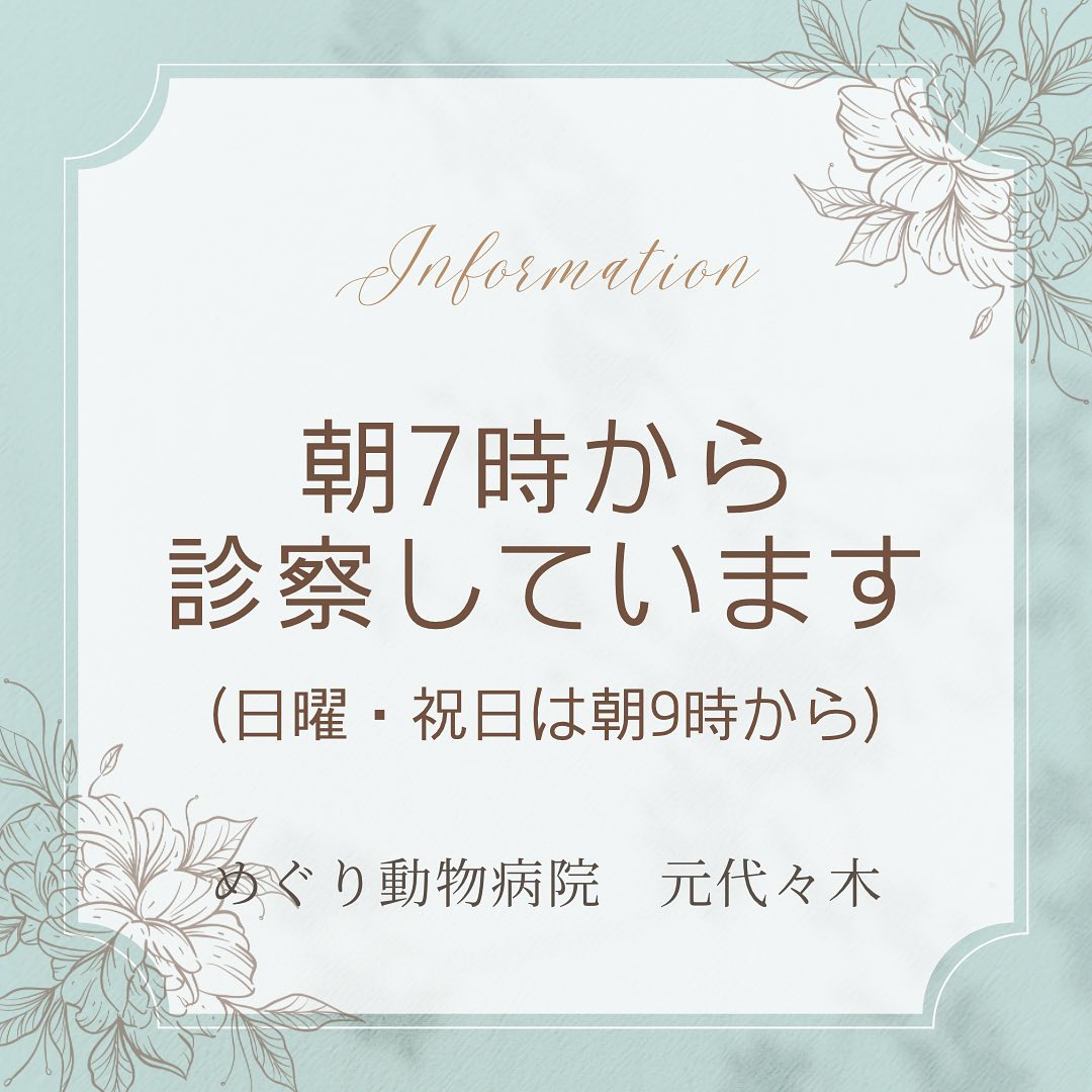 朝7時から診察しています（日曜・祝日は朝9時から）